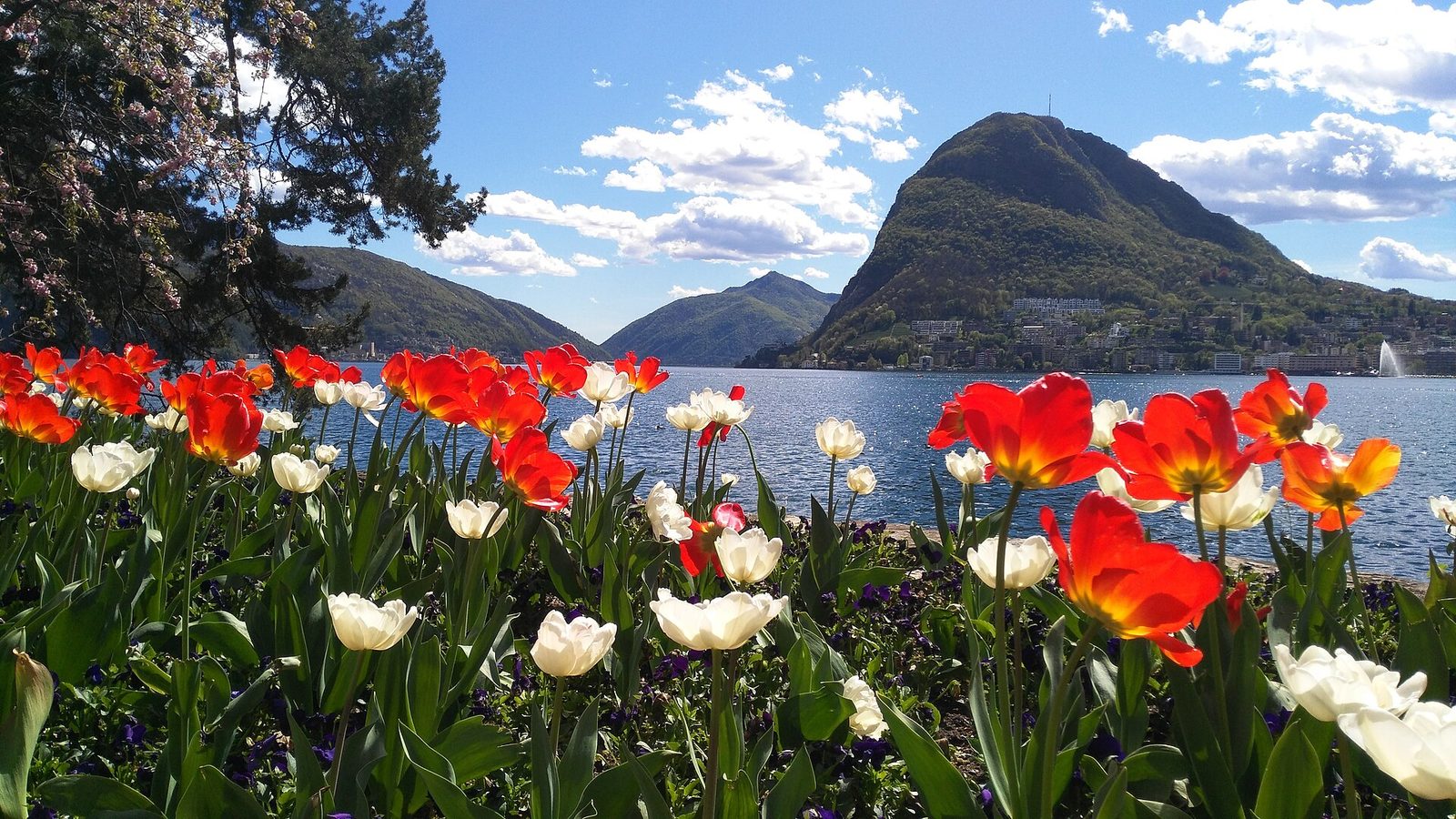 Lago di Lugano, Ticino